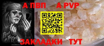 гидра Кингисепп