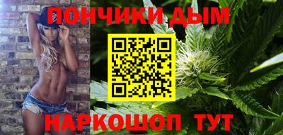 гидра Кингисепп