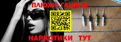 гидра Кингисепп